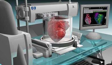 print a kidney organ printer