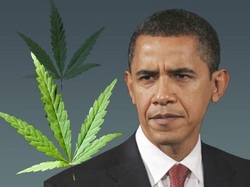 Obama marijuana