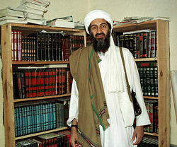 Osama Bin Laden books